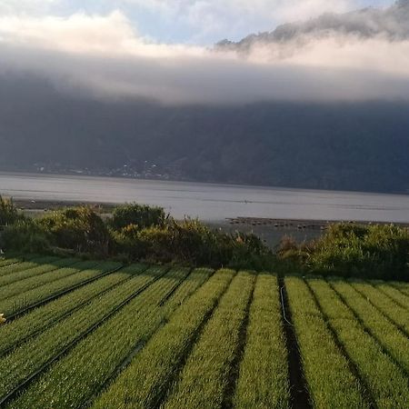 Lakeside Log Cabins Kintamani  Екстер'єр фото